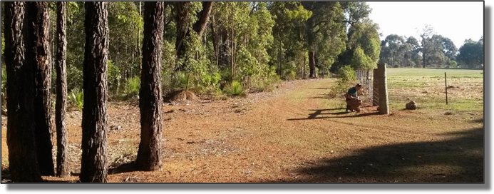 Picture6