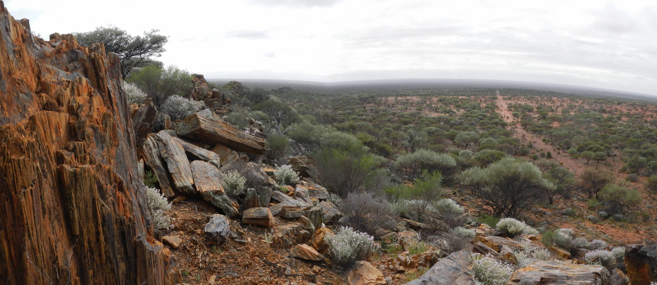 GN Panorama 3