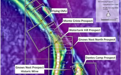 Further High-Grade Gold – Gnows Nest, Significant Gold Discovery – Flying Emu