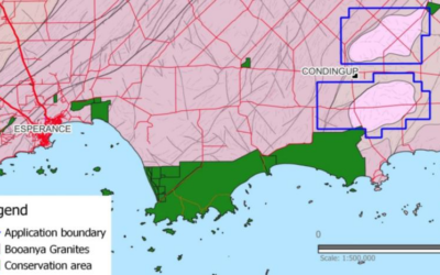 Emu joins WA rare earths hunt with exploration applications